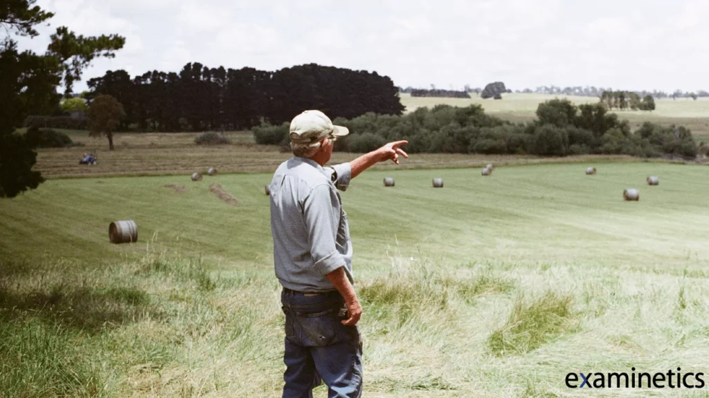 Farmer wearing a light-colored cap and long-sleeved shirt standing in a grassy field, pointing toward large cylindrical hay bales scattered across a freshly mowed pasture, with trees and open farmland in the background under a partly cloudy sky.